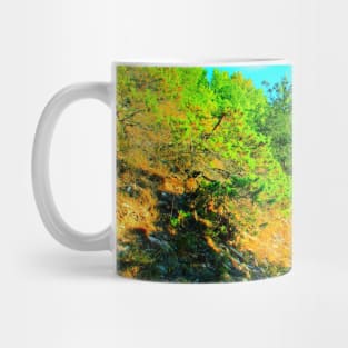 View at a mountain near Lago di Fiastra with juniper, oak tree, fenced path and Sibillini Mug